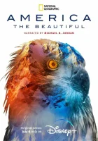  Прекрасная Америка смотреть онлайн тв шоу 2022 в HD